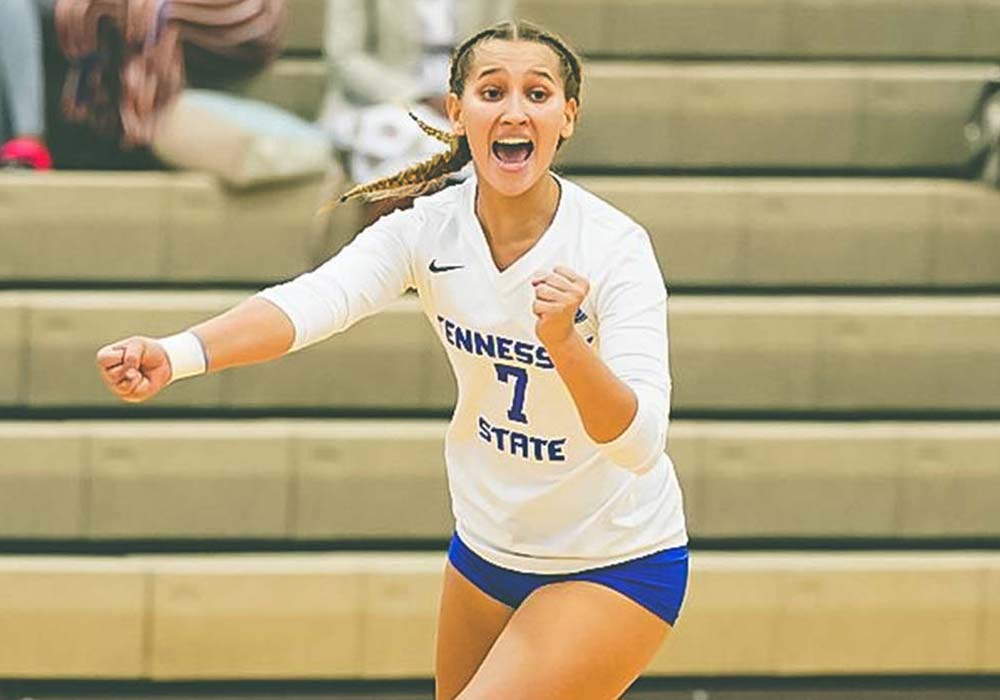 Volleyball action photo